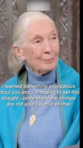 GreatMountain Chinooks