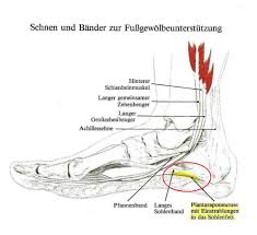 Lauferleiden Verletzungen Erkennen Und Vorbeugen Laufszene Thuringen