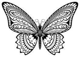 Maybe you would like to learn more about one of these? Drawn Butterfly Black And White Pencil Inlor Drawn Jpg Cliparting Com