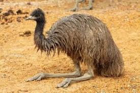 Pin On Australia