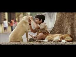 2007 movies, aamir khan movies list, indian movies. Taare Zameen Par Aamir Khan Full Movie Hindi 2007 720p Hd Youtube