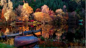 Maybe you would like to learn more about one of these? Nature Backgrounds For Pc Free Desktop Wallpapers And Stock Photos Desktop Background