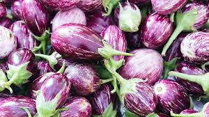 Product description the long purple is just as its name implies. 7 Surprising Health Benefits Of Eggplants