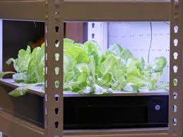 Check spelling or type a new query. Hid Grow Light Systems For Hydroponic Gardens