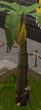 No matter how simple the math problem is, just seeing numbers and equations could send many people running for the hills. Natural History Quiz Runescape Wiki Fandom