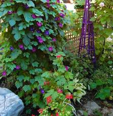 How to use a file to sharpen your shovel and other garden tools. Quick Garden Fix Rearrange The Furniture Toronto Gardens