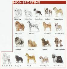Exact Dog Breeds Identification Chart Breeds Of Dogs Chart