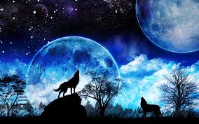 Black wolf wallpapers hd cool phone backgrounds amazing best hd. 3d Wolf Wallpaper Wolf Howling Blue Moon 1920x1200 Download Hd Wallpaper Wallpapertip