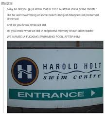 Pin On Funny And Or Cool And Or Interesting