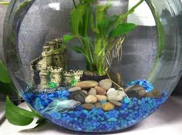Img 0221 Jpg 639 478 Betta Fish Bowl Aquarium Aquarium Decorations