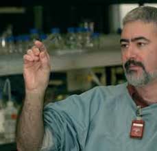 Research report 2002–2004