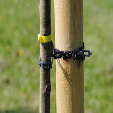 Trelock chain lock bike security & locks. Rainbow Chainlock Tree Ties Tree Ties Support Green Tech