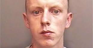 Violence, not picking up dog poo and Cornwall's court round-up