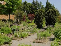 How to start a medicinal herb garden. Medicinal Herb Garden