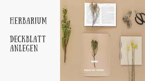 Wählt eine deckblatt vorlage aus und legt gleich los mit eurem herbarium. Herbarium Gestalten Vorlage Anleitung Kinder Diy Trends