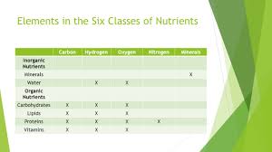 There are seven main classes of nutrients that the body needs. An Overview Of Nutrition Ppt Video Online Download