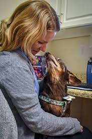We offer compassionate care, through traditional and holistic medicine. Our Team In Merritt Island Fl Island Animal Hospital