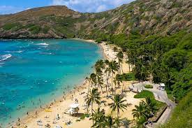 Kauai all inclusive (7 day) hawaii vacation all hawaii vacation features listed below in blue bold are included in the basic package rate click most blue items below for a pictorial journey of your hawaii vacation. Looking For An All Inclusive In Paradise Here S How To Find A Hawaii All Inclusive Vacation