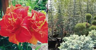 As a form of living art, this garden provides a stunning environment for weddings of all varieties. Arbor Day Nursery Garden Center In Riverton Utah