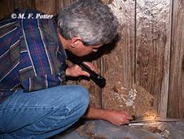 $250 for a general visual inspection. Termite Control Answers For Homeowners Entomology