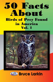 Maybe you would like to learn more about one of these? Free Online Books Third Grade Wilbooks Com