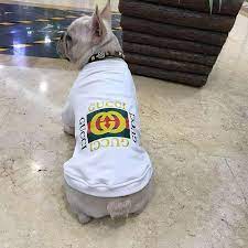 Decouvrez Des Vetements De Mode Pour Chiens Qui Rendra Votre Meilleur Amis Toujours Plus Fashion Notre Boutique En Ligne De Mode Woof Dogl Gucci Dogs Sweat