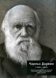Житель Донетчины получил ранения пытаясь распилить зенитный снаряд, - Нацполиция - Цензор.НЕТ 1726