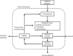 amylase production flow chart of amylase production