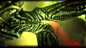 Rule34 - If it exists, there is porn of it  keyfeather, xenomorph  4468382