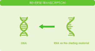 A cloned cell phone is one that has been reprogrammed to transmit the esn and min belonging to another legitimate cell phone. Reverse Transcriptase Cdna Overview Applications Goldbio