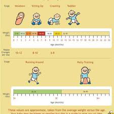 79 Expert 8th Month Baby Weight Chart