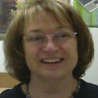 My No-Knead Bread Cookbook: From the Kitchen of Artisan Bread with Steve by  Steve Gamelin