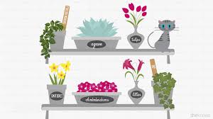 But, according to some resources, studies have found that this plant does, indeed, cause a mild hallucinogenic effect to felines, though this is said to be harmless. These 12 Common Plants Are Actually Poisonous To Cats Sheknows