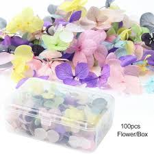Check dried flowers price per kg, benefits, recipes, fast shipping & cod at vedaoils. Buy Bulk Lot 100pcs Mixed Dried Flowers 3d Nail Art Diy Nails Decoration Tips For Nail Art At Affordable Prices Price 6 Usd Free Shipping Real Reviews With Photos Joom
