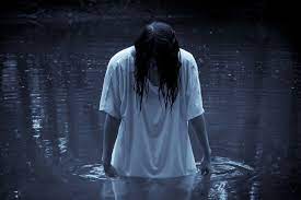 După finisarea războiului dintre ruși și suedezi, doi frați pleacă cu un grup de demarcare a graniței dintre cele două țări. Filme De GroazÄƒ Memorabile Top 20 De Filme Pe Care SÄƒ Nu Le Ratezi