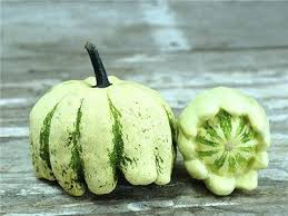Patisson Panache Blanc Et Vert Scallop Squash Baker Creek Heirloom Seed Co Heirloom Seeds Squash Squash Varieties
