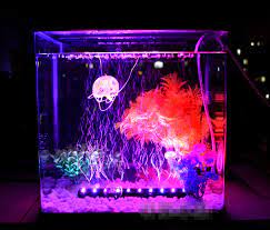 These led aquarium decorations light comprise of products such as artificial plants, fishes, jellyfishes, stones, ferns, toy divers, and many more. Deebow Dee 350 Led Light Air Stone Aquarium Decoration For Fish Tank Aquarium Aquarium Accessories Free Shipping 1100148 Aquarium Aquarium Light For Fishingfishing Led Light Aliexpress
