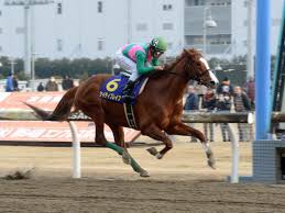 Yuki kaji (梶 裕貴, kaji yūki, born september 3, 1985) is a japanese voice actor and singer affiliated with the agency vims. å·å´Žè¨˜å¿µ2019æœ€çµ‚äºˆæƒ³ ãƒŸãƒ„ãƒã‚'æœ¬å'½è¦– å˜å‹å‹è² ã‚‚è¦–é‡Žã«å…¥ã‚Œã¦ 2019å¹´1æœˆ30æ—¥ ãƒ•ãƒ©ãƒ³ã‚±ãƒ«jr ã®ç«¶é¦¬äºˆæƒ³