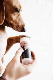 The Bkind Paw Rescue Balm Is Made Of Shea Butter And Coconut Oil Both Extremely Rich And Moisturizing Which Will Nourish Th Paws Rescue Dog Paw Pads Dog Paws