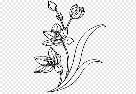 Butterfly and flower drawing black and white. Butterfly Black And White Line Art Drawing Flower Floral Design Watercolor Painting Pencil Black And White Line Art Drawing Flower Png Pngwing