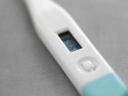 What To Know Before You Buy A Basal Body Thermometer
