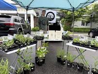 Botanicals and Brews at Flight Deck Brewing