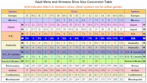 Dvs Skate Shoes International Shoesize Conversion Table
