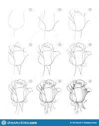 Check spelling or type a new query. How To Draw A Rose Step By Step With Pencil Novocom Top
