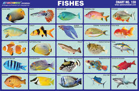 Spectrum Educational Charts Chart 138 Fishes