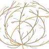 How to make a tumbleweed out of a paper plate? 1
