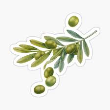 Cuac aove, is an excellent extra virgin olive oil, that will surprise you for its … Olive Oil Gifts Merchandise Redbubble