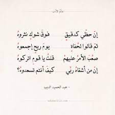 pin on أبيات شعر