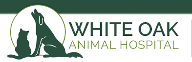 You can now order from white oak animal hospital online! White Oak Animal Hospital Fredericksburg Va Veterinary Care Stafford County