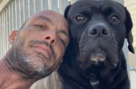 The Animal Rescue Site by GreaterGood